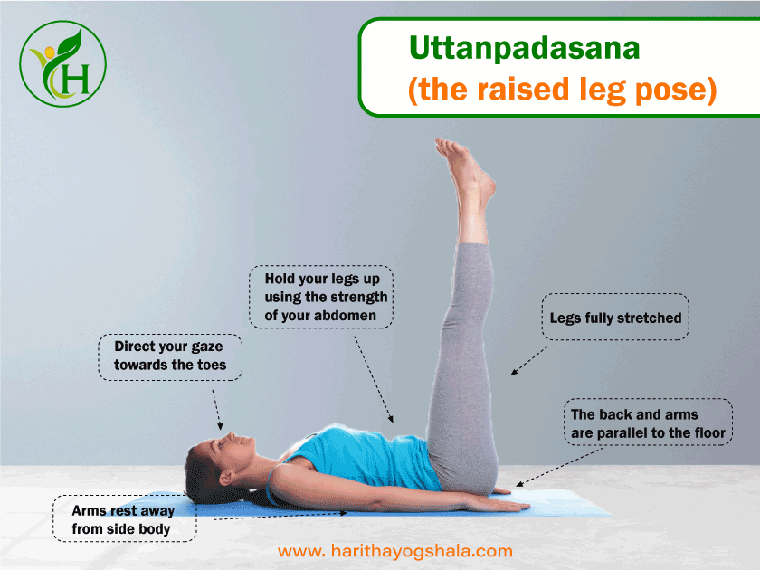 Infographics of Uttanpadasana (the raised leg pose)